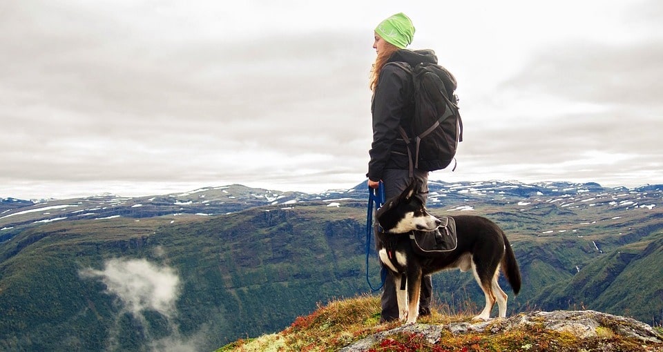 Südtirol mit dem Hund entdecken