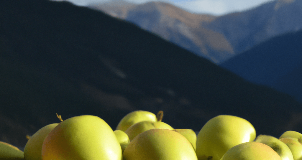 Apfelernte Südtirol