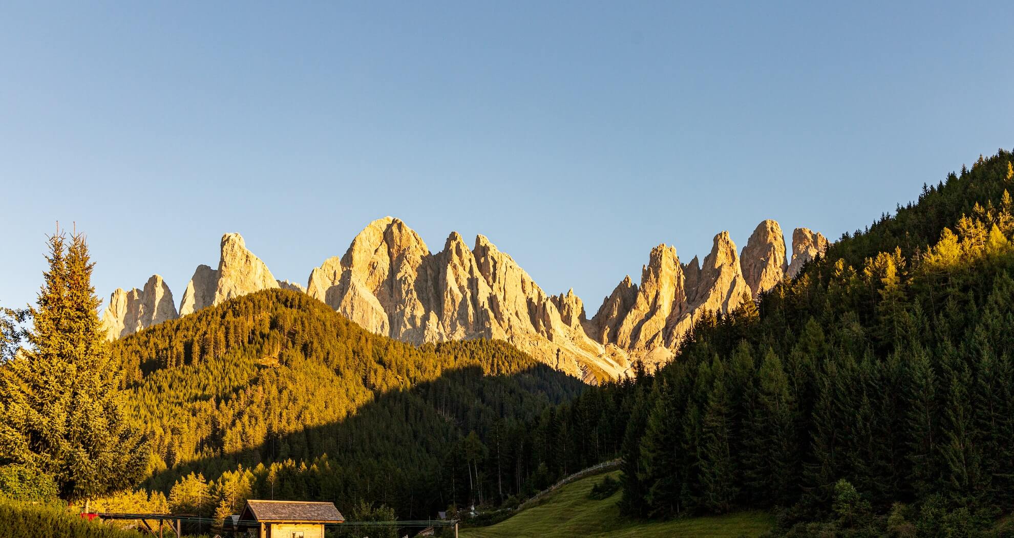 Blick auf den Rosengarten