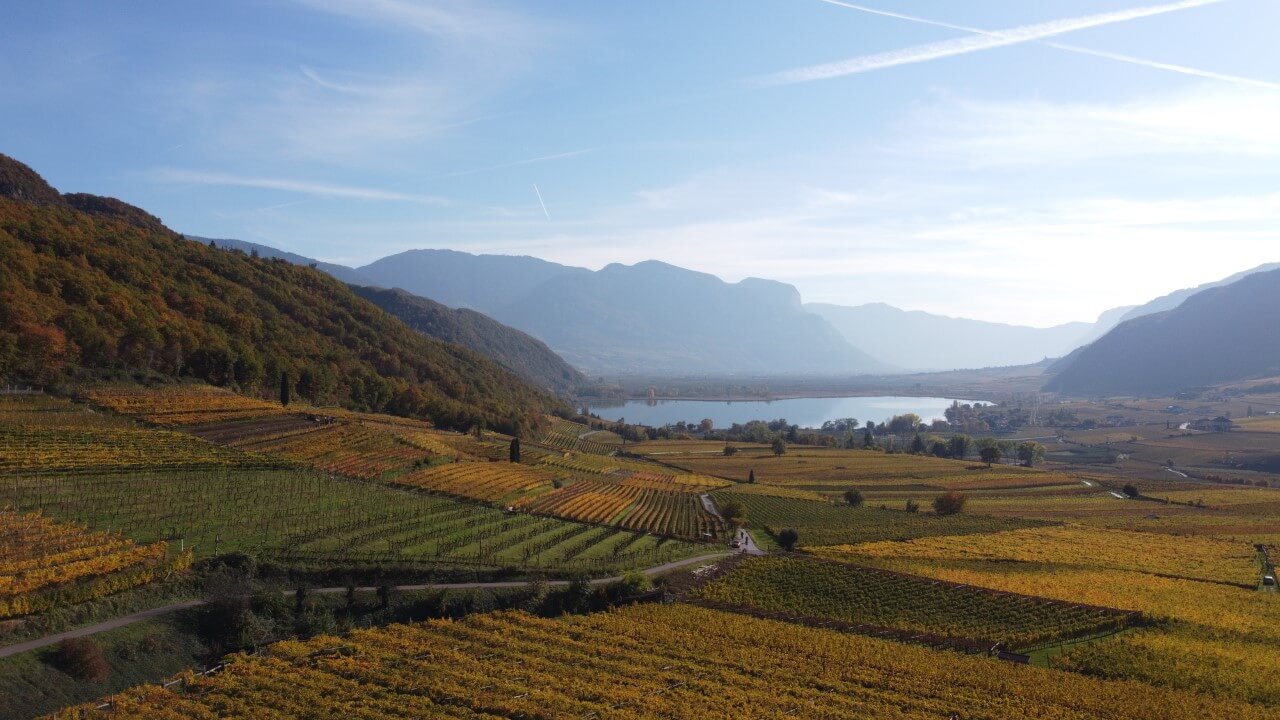 Alto Adige Vista sul Lago di Caldaro