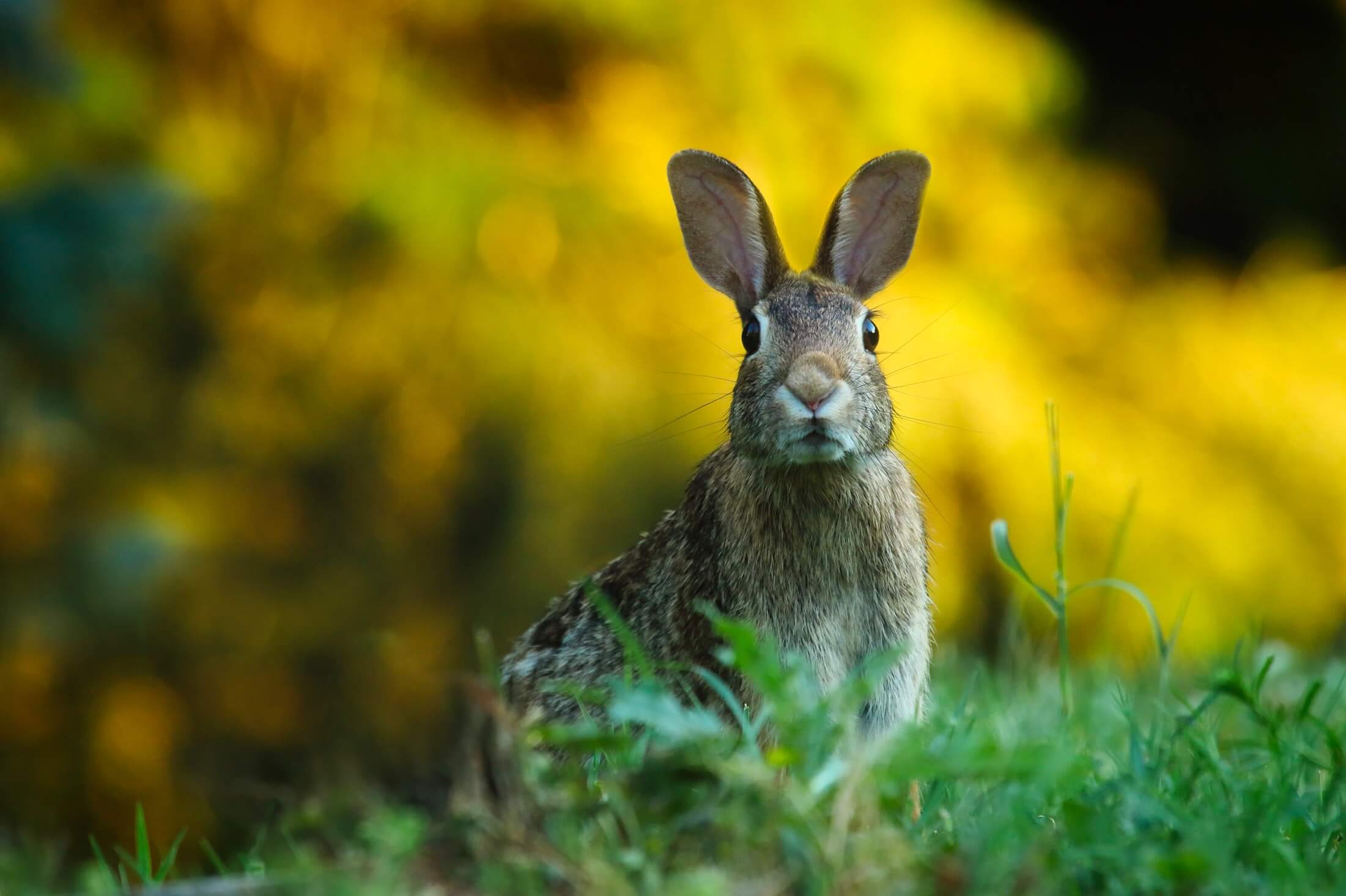 Kurzurlaub Ostern