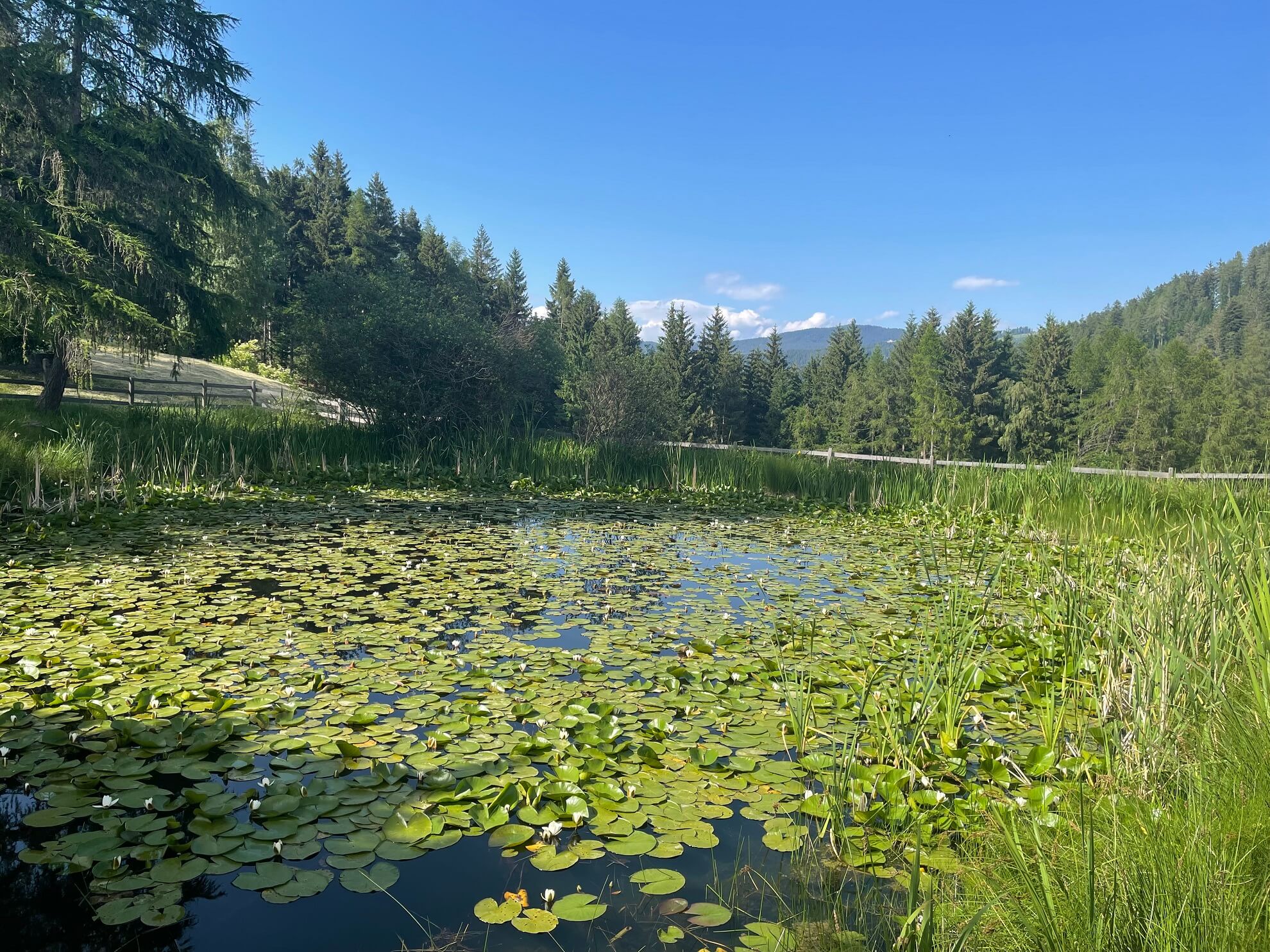 Naturreise nach Südtirol