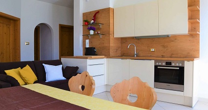 Kitchen with living room in Verena apartment