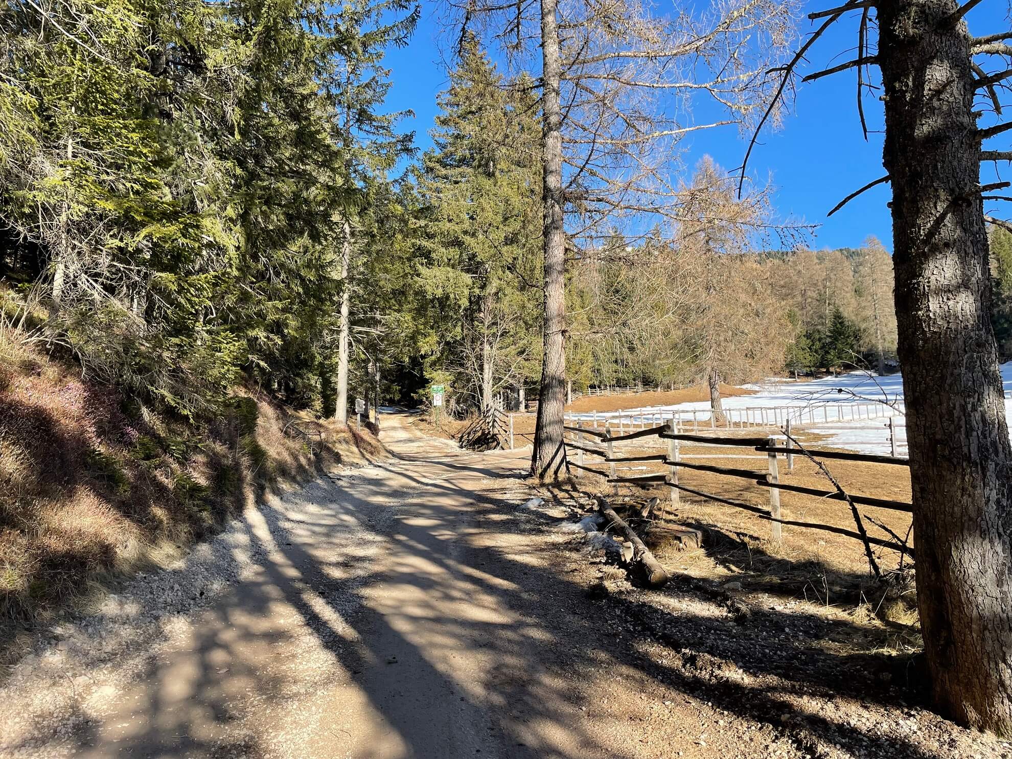 Wanderung zur Alm